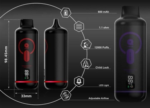 Rechargeable 20mL Nic Salt Customizable Mesh Coil AirflVEIIK Micko Q Twist 12000 Puffs Disposable Vape