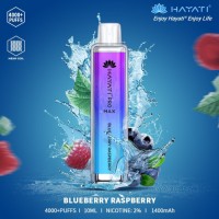 Wholesale 20mg Nic Hayati Pro Max 4000 Puffs Disposable Vape Bar Box of 10 Lowest Price Full Flavors