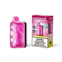 Hot Sale 1000mAh Rechargeable VOZOL Rave 40K Disposable Vape Wholesale VOZOL 40K 5% Nic 10+ Flavour Factory Price