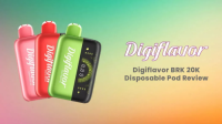 Geek Bar Digiflavor BRK 20000 Disposable Pods | Bulk in low price